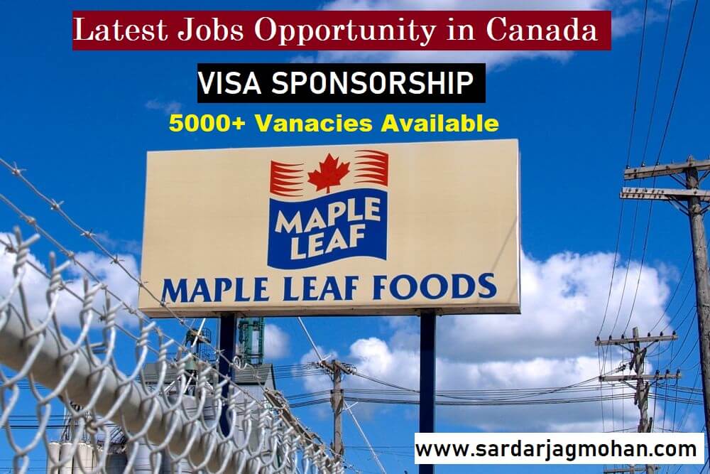 Maple Leaf Foods Jobs 2025